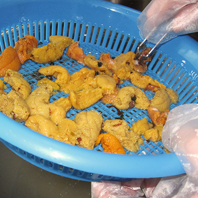 「泊うに」おいしい食べ方 手順3