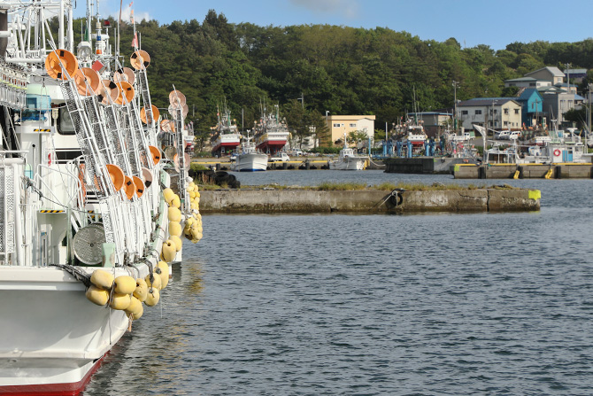 水揚げは年に4回だけ。旬の味をつかまえる